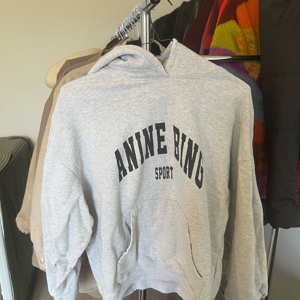 Anine Bing Sport Gray Hoodie